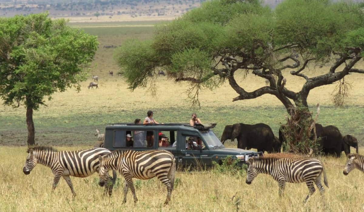 Western Tanzania Safari Circuit